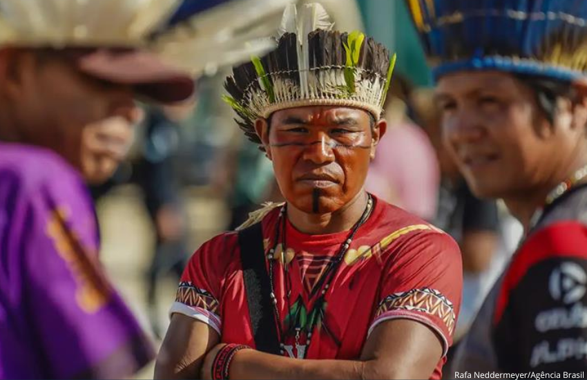 TJPR divulga nota técnica sobre reintegração de posse em territórios indígenas no Paraná